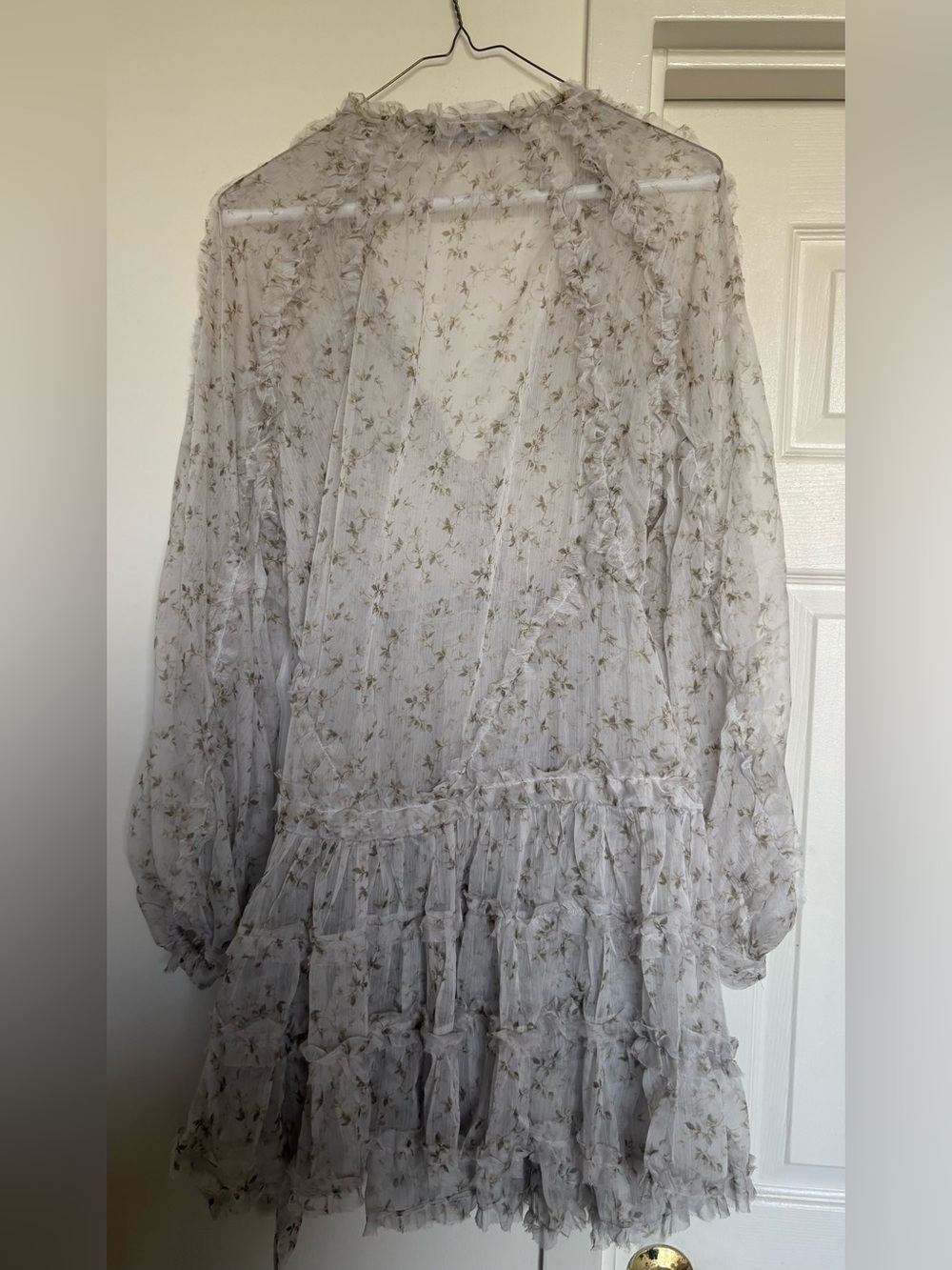 Sheer Floral Long Sleeve Mini Dress in Ivory